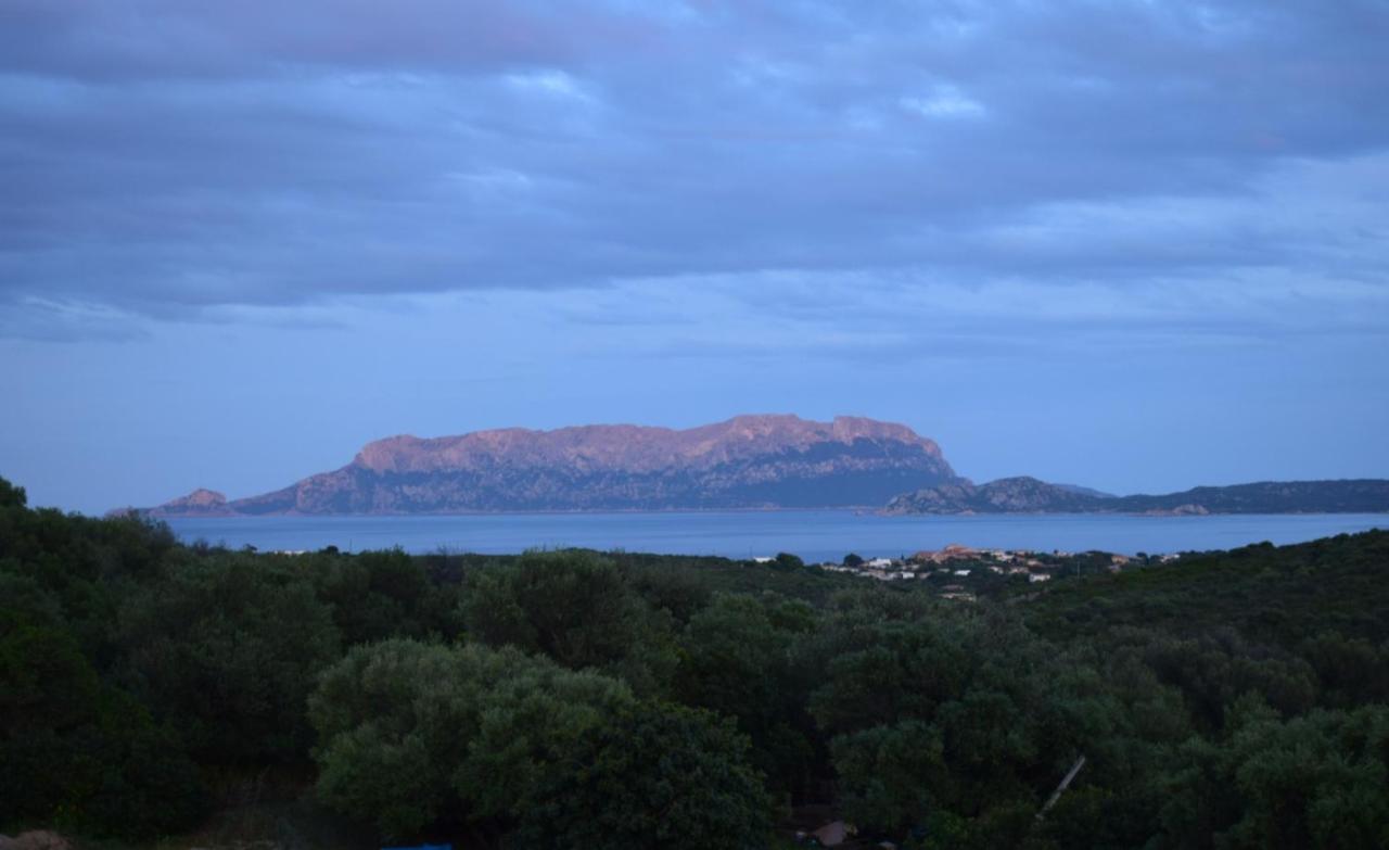 Sa Domitta Di Suiles Apartamento Olbia Exterior foto